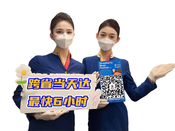 林芝空运西安机场